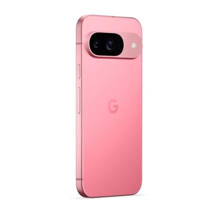 Смартфон Google Pixel 9 12/256Gb JP Peony